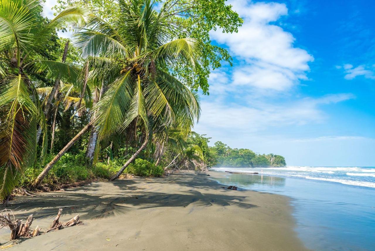 Casa Verde Puerto Viejo de Talamanca Екстериор снимка